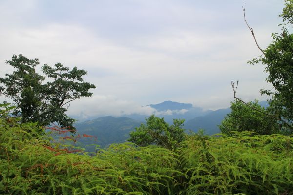 拳頭姆步道 20180723392851