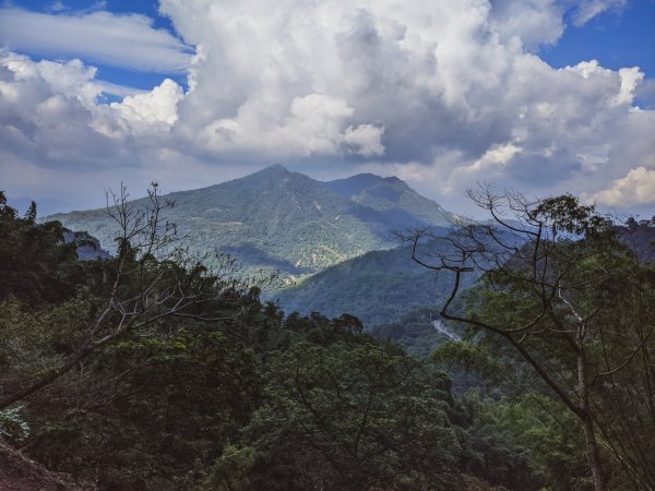 【南化甲仙】西阿里關山、白雲山1497083