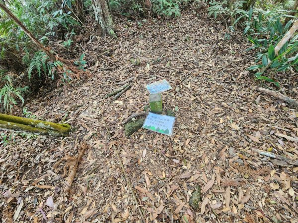 20260321貓頭山西關刀山能高瀑布O型3043793