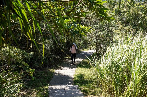 五分山｜小百岳2915437