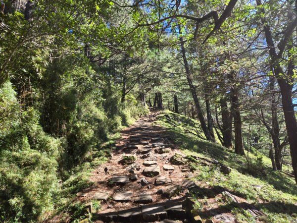 麟趾山、鹿林山、鹿林前山三山縱走2630030