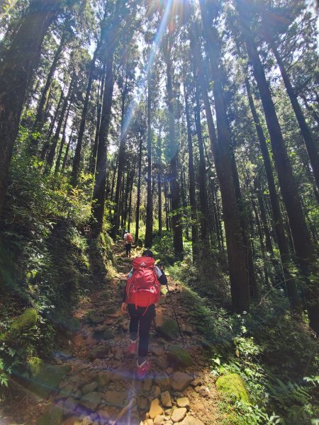 【嘉義|大凍山】多林-頂湖走1010194