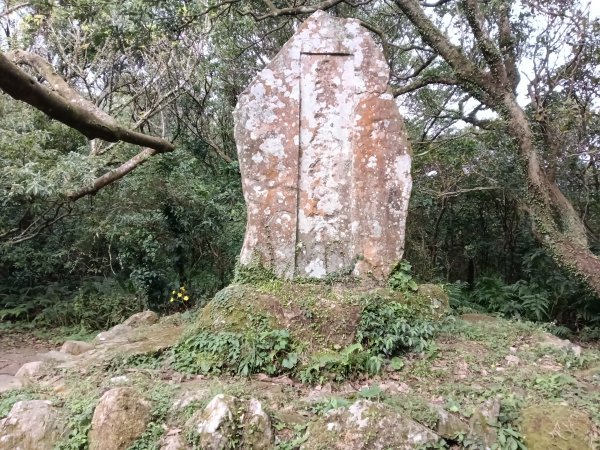 北投區大屯山西南南峰+西南峰+大屯山西峰+太子碑+清天宮步道O型2957129