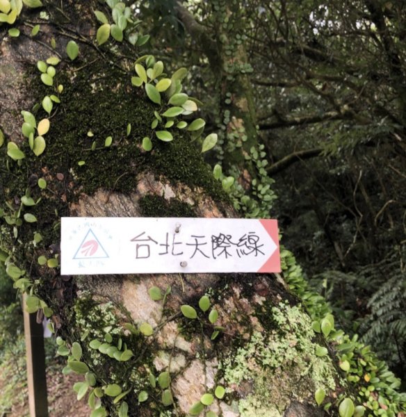 翻山越嶺縱走大台北之四1076319