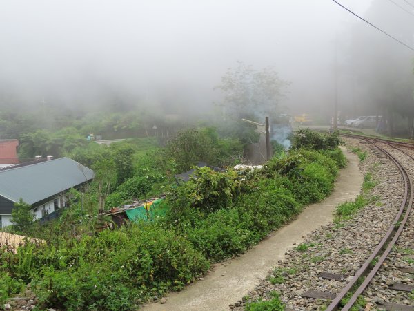 寧靜的小山村:水社寮973313