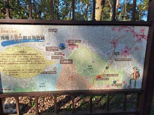八角崠山+協雲宮櫻花步道202502152712849