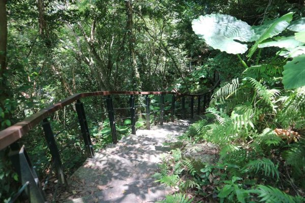 〔花蓮〕布洛灣吊橋+伊達斯步道+環流丘步道。一次走好走滿的布洛灣壯麗景觀步道2266345