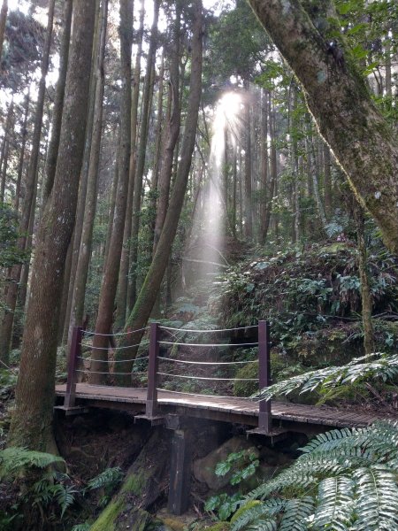 台版富士山「加里山」(小百岳#34) 2020/12/191424800