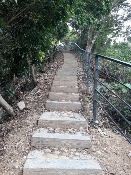 雲林林內龍過脈森林步道20190323550615