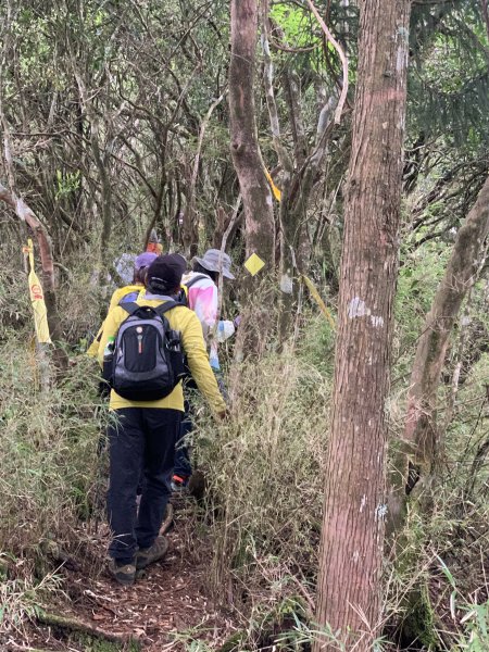 20250517義義兒玉山-東水山2791695