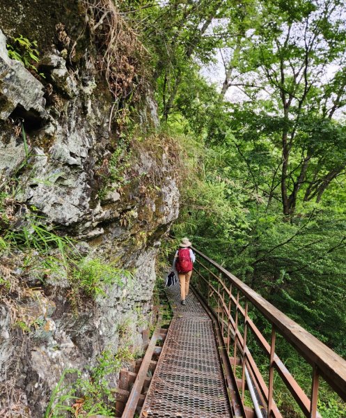 【百岳】志佳陽大山2779737