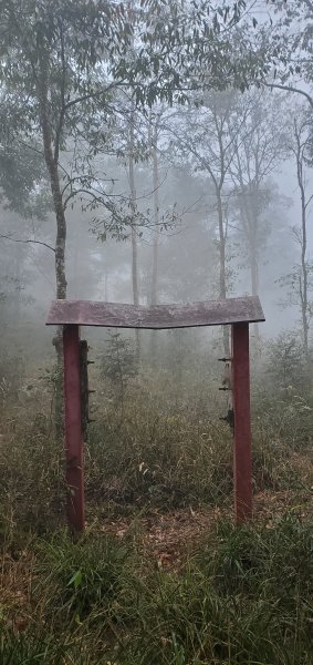 能見到整個日月潭視景的水社大山2043065