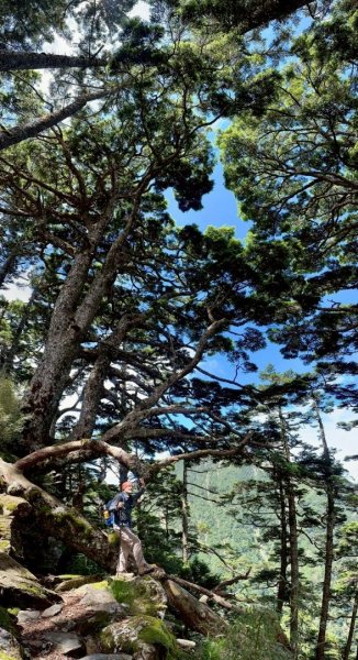 20250620南橫三山塔關山2816701