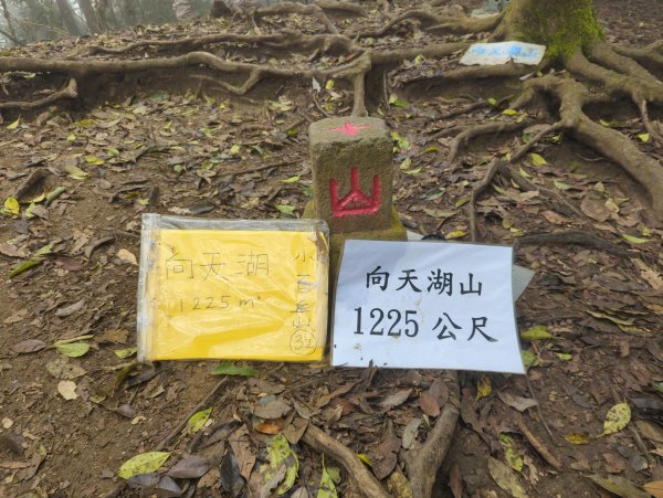 2026.03.28－向天湖步道3032069