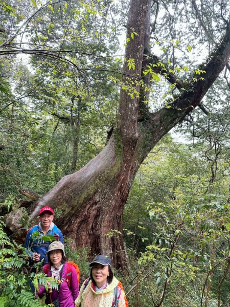 北得拉曼-20204062859889