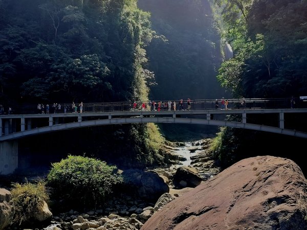 瑞龍瀑布步道1915389