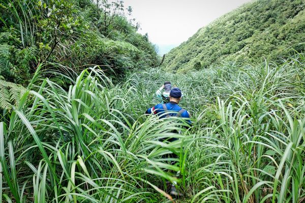 不厭亭、貂山古道、金字碑古道O型2018377234