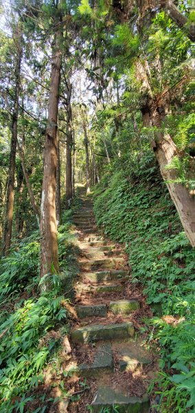 2021-08-21仙山登山步道1442782