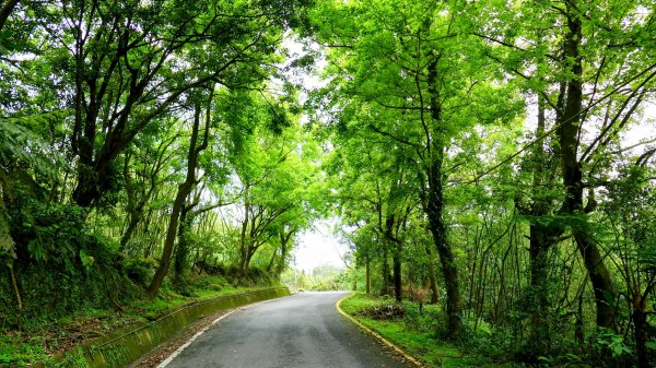 白雲派出所。蒙格不驚2759926