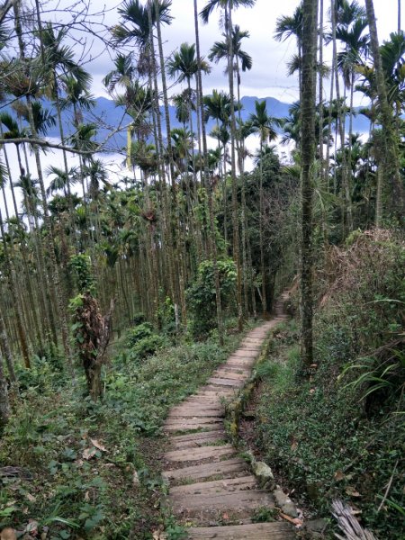 雲嘉七連峰1560734
