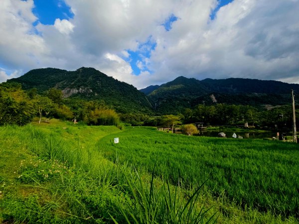 羅山村竹林步道-2025漫遊縱谷愛在花東-花蓮縣富里鄉2916736