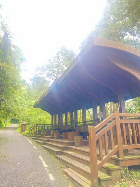 溪頭散步悠遊    2024.5.202517704