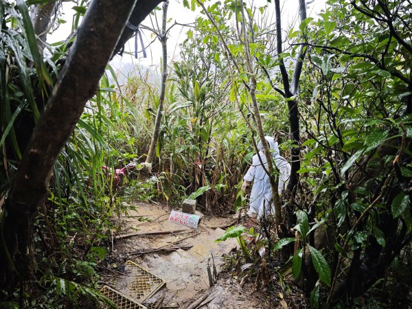 2026_0131 獅球嶺西砲台2997812