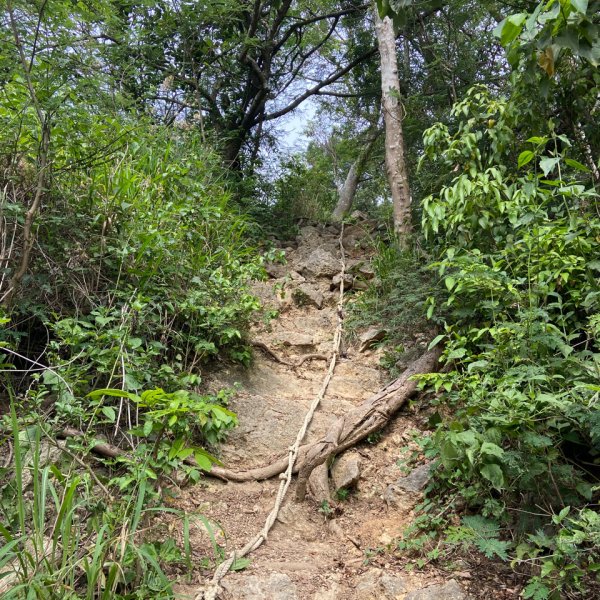 柴山，一年四季3085757