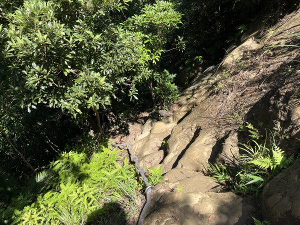 [微笑山線_第九段] 2025_0914 二格山系_天王峰2889554