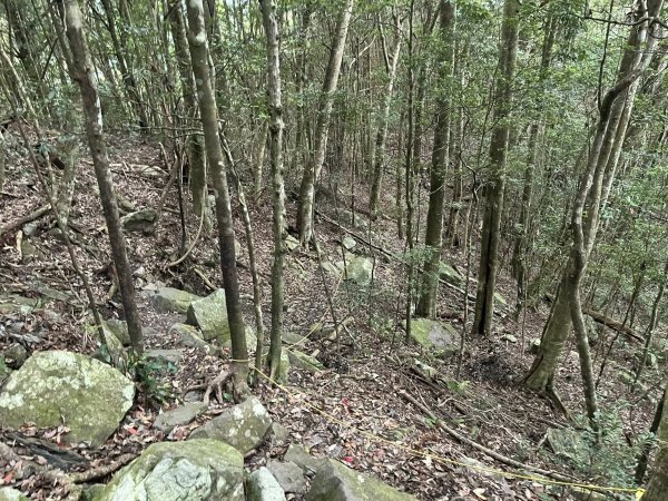 屋我尾山（大雪山線）2867440