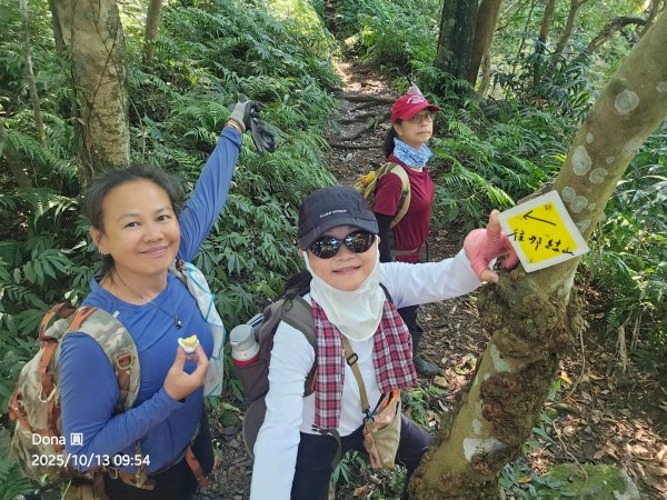 復興三尖老么之那結山1520m(嘎色鬧上)全紀錄2915478