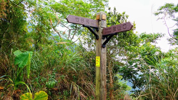 梅嶺竹子尖山2987425