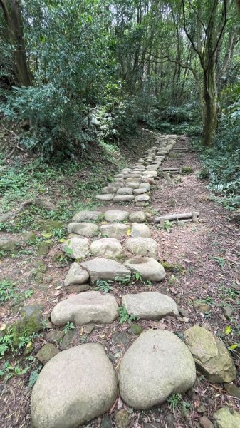 微笑山⛰️線-大棟-二格山-五分山-天上山-鳶山💎12條步道完成💙2834113