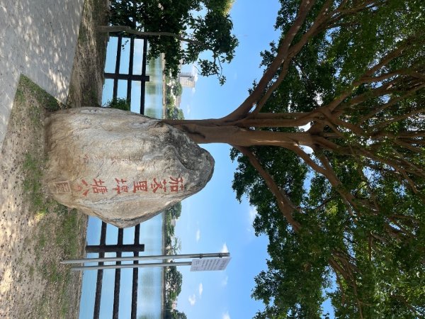 霄裡好風光，運動樂悠遊！2854812