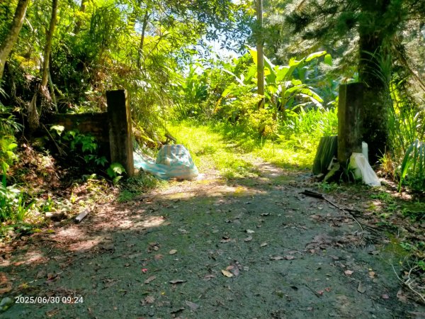 白石湖+打鐵寮古道2824158