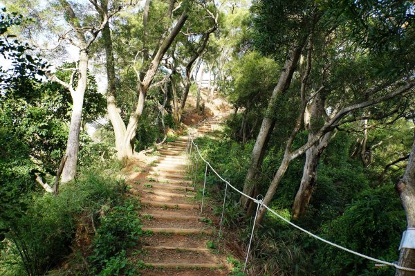 新竹 新埔 犁頭山、吧哩國山、石頭坑山2936771