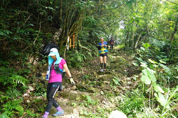 淡蘭古道中路O型988484