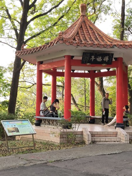 東勢林場森林浴場步道3019113