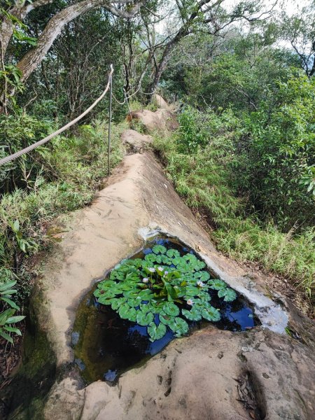 五寮尖登山步道 - (新北)臺灣百大必訪步道2312550