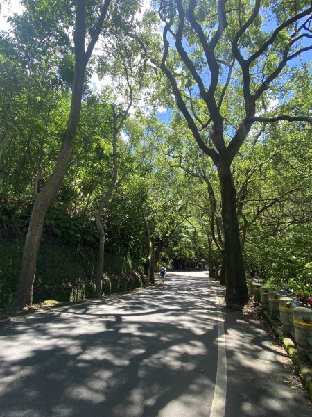 《陽明山秘境健行｜翠峰瀑布 × 天母古道 夏日涼爽路線》2852210