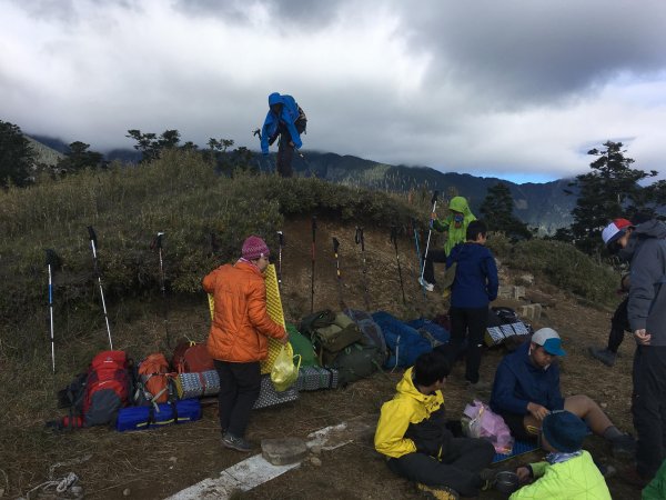 雪山 不下雪533093