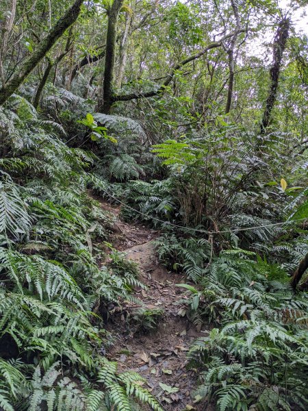 鵝角格東峰 鵝角格山 六分山 四面頭山 貓空尖 十六分山 三玄宮山2006148