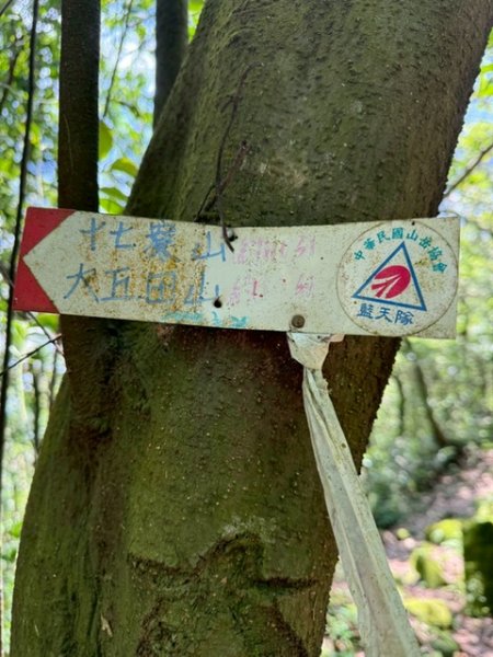 20250502 安坑七山2775101