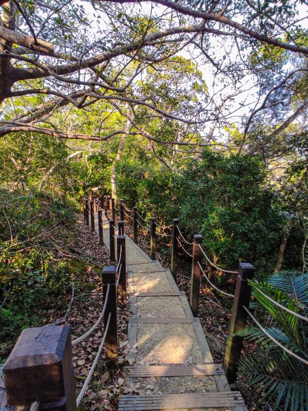 大坑6號步道/風動石南海寺/7號步道1878210