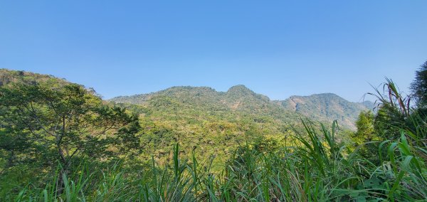 2023-03-25大橫屏山步道2084790