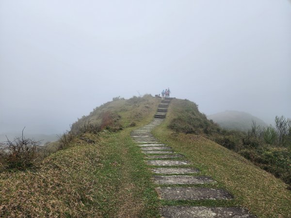 小百岳No.82⛰灣坑頭山3003062