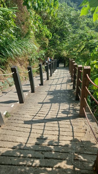 20240101~咬人狗坑登山步道(三汀山+埤頭山)2391756