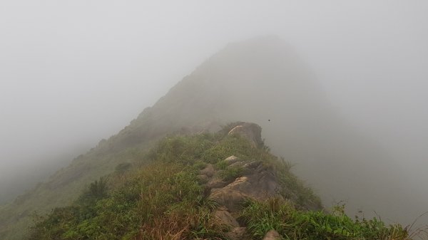 南子吝到茶壺山寶獅亭2301358