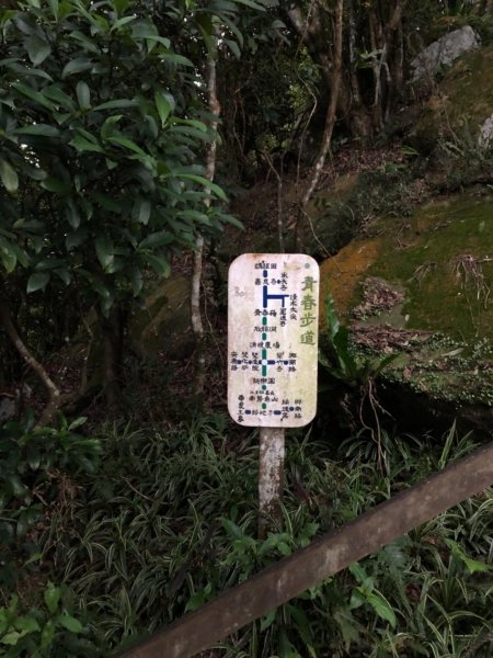 南勢角山（烘爐地—青春步道）550209