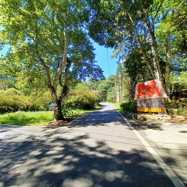 【苗栗南庄】向天湖山光天高山小O繞2933143